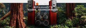 惠威音响选择百客聚作为其2020年Facebook营销的服务商-istarto百客聚