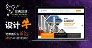 聚页建站成功案例