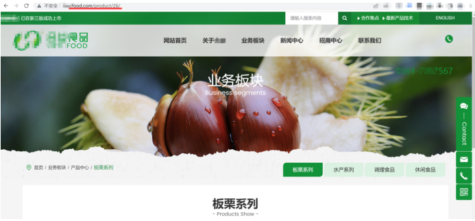 外贸企业官网常见的9大错误——中国出海企业网站URL设置