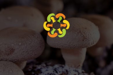 建站案例-中国食品土畜进出口商会食用菌分会