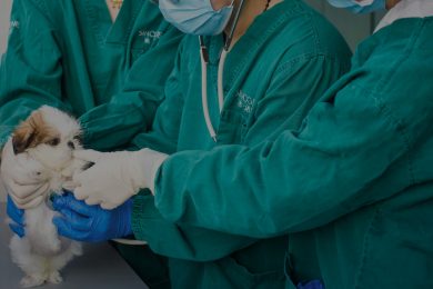 希诺谷基因科技