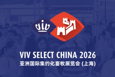VivChina畜牧展会多语种落地页营销解决方案